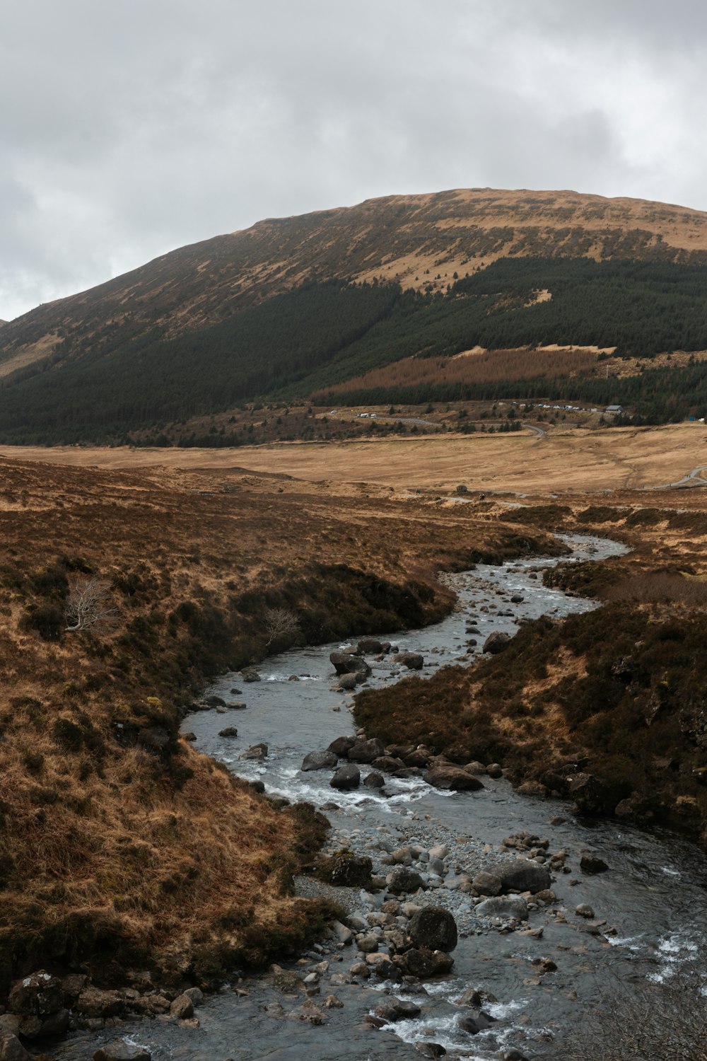 a stream running through a dry grass field