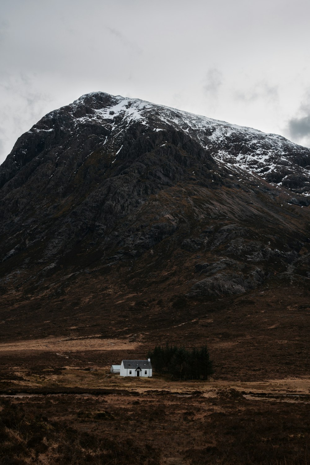 a house in the middle of a field with a mountain in the background