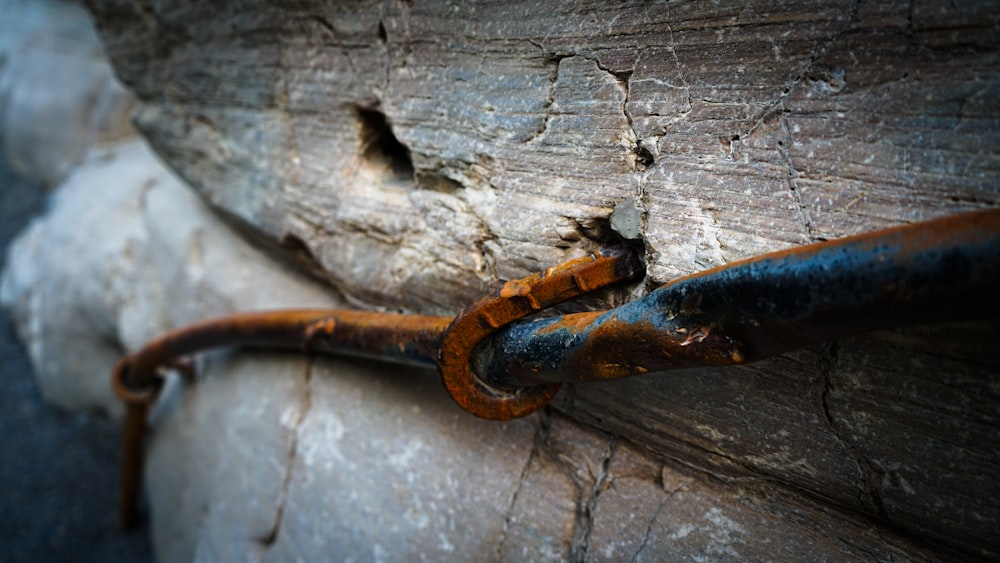 a rusted metal hook attached to a wooden wall