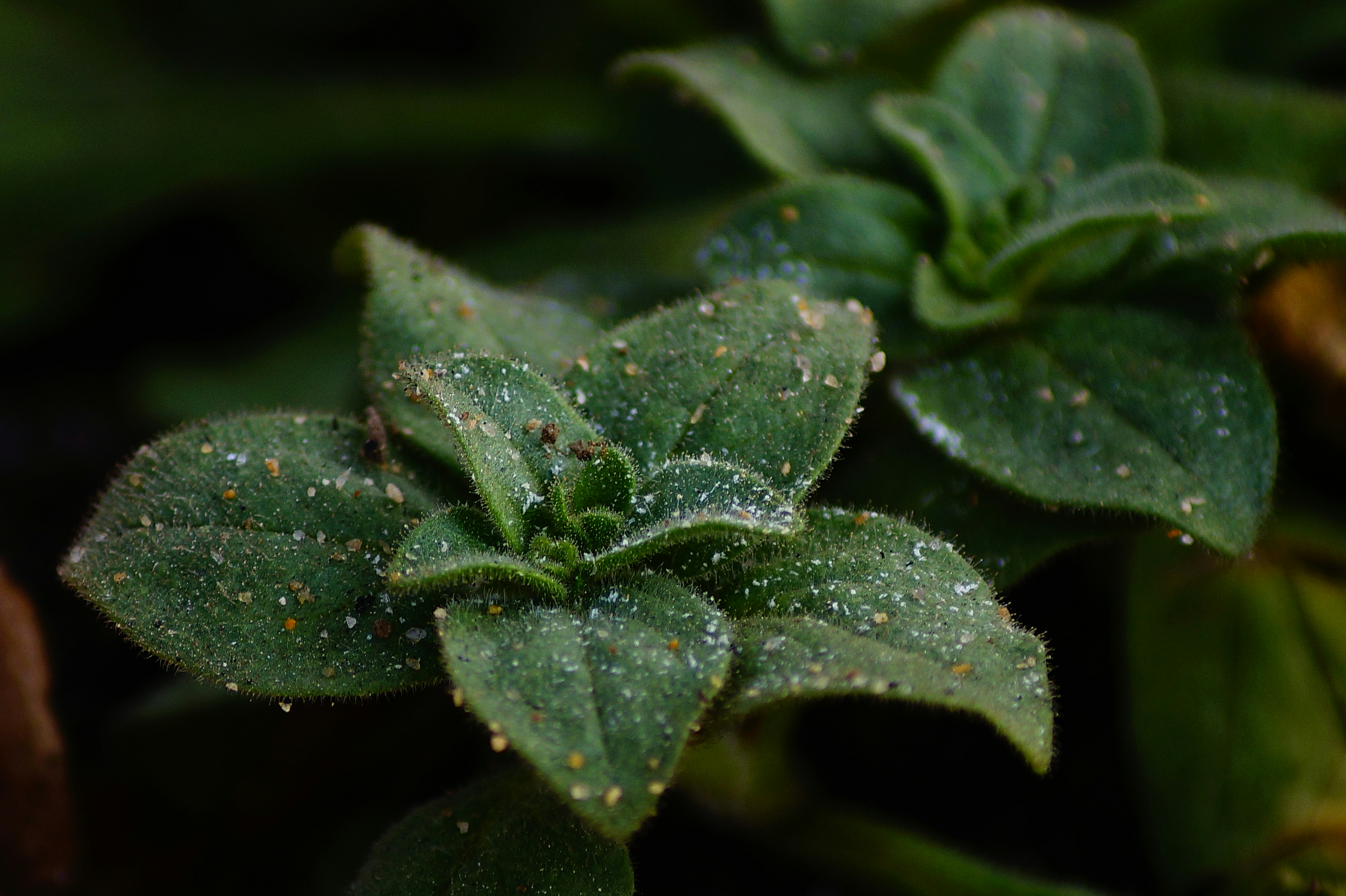 Photo by shreyash_mukherjee10