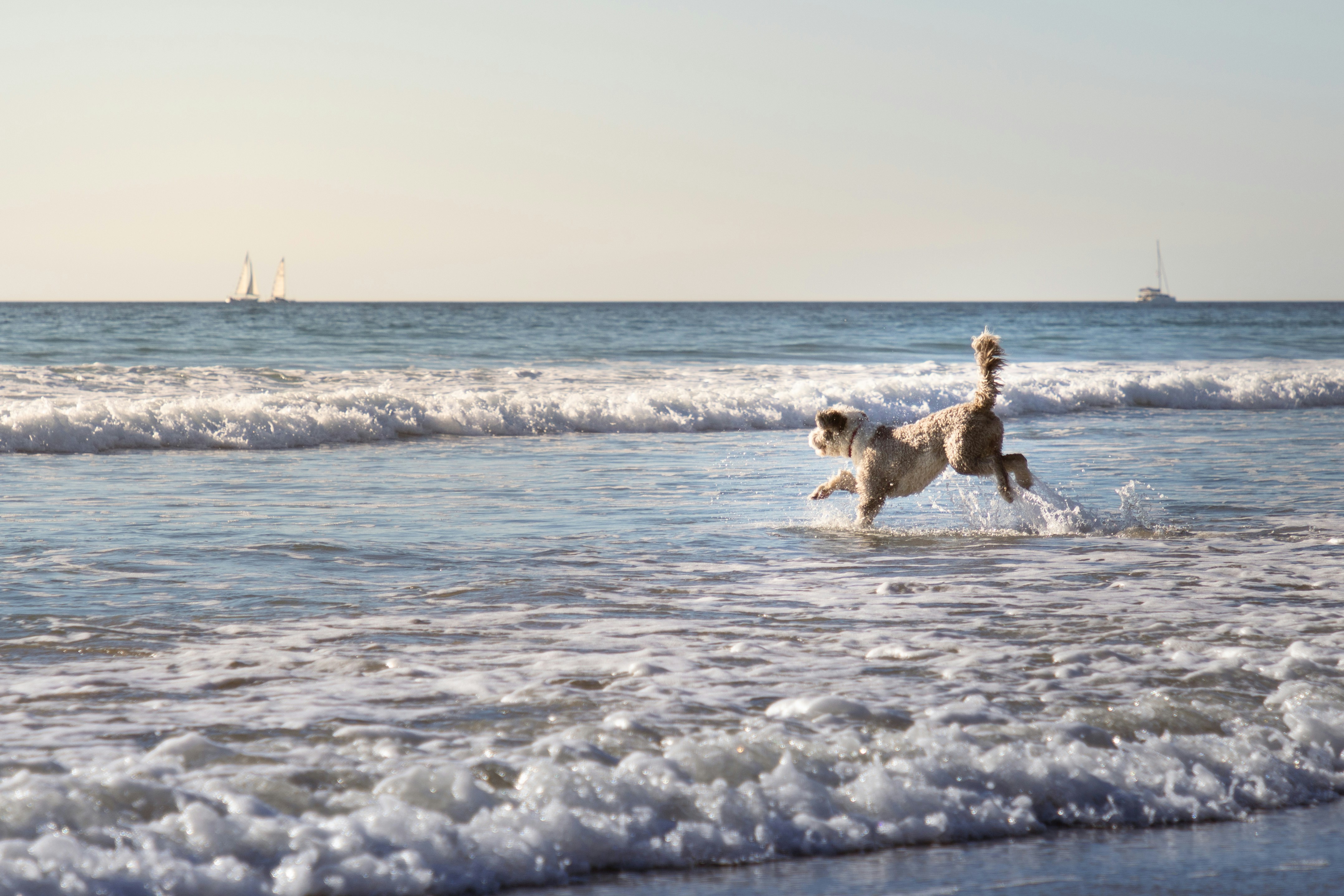 Photo by sean_mullowney