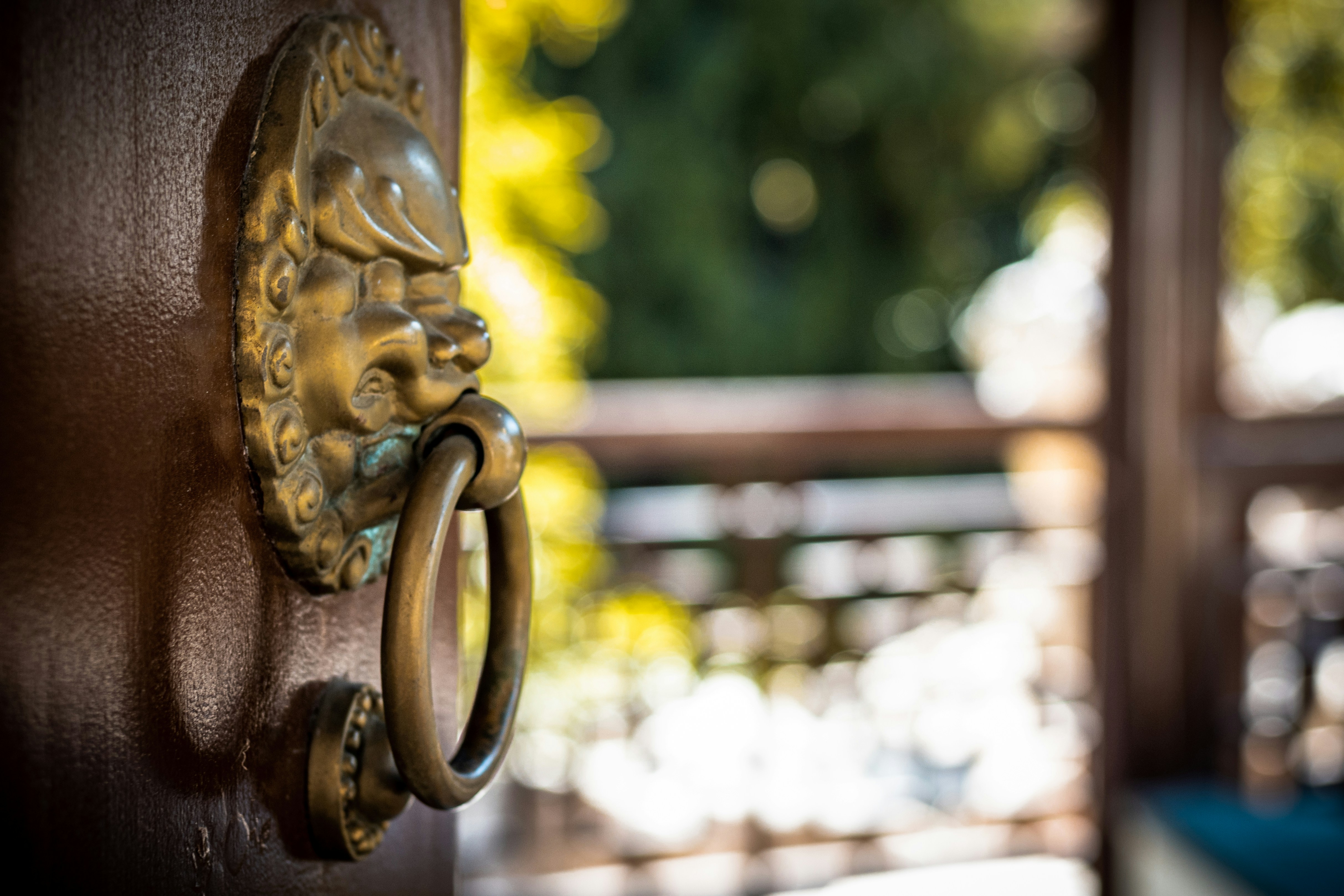 a close up of a door handle on a wooden door