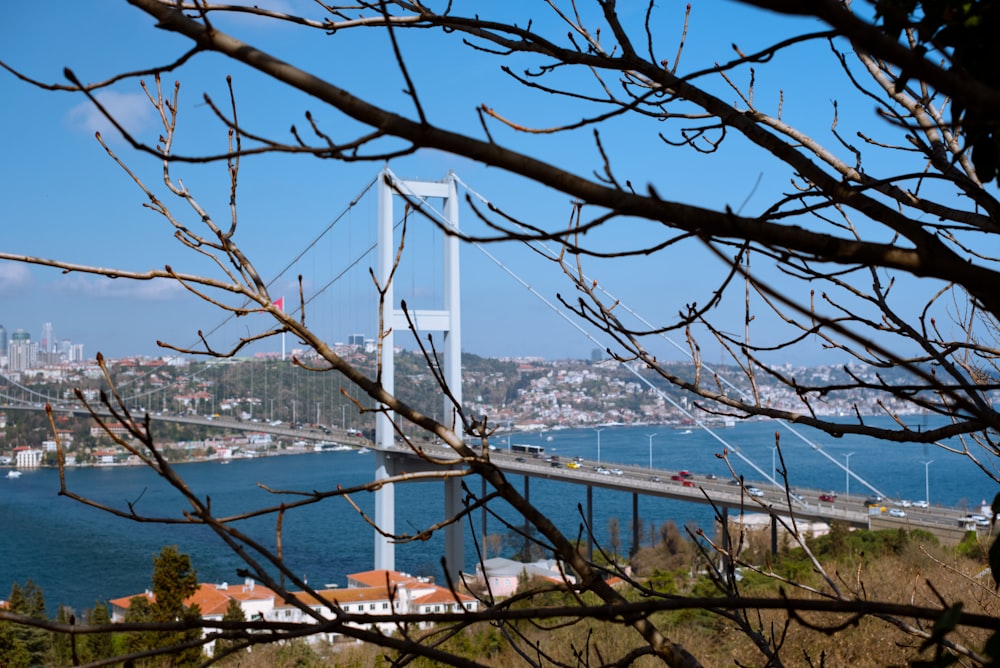 a view of a bridge over a body of water