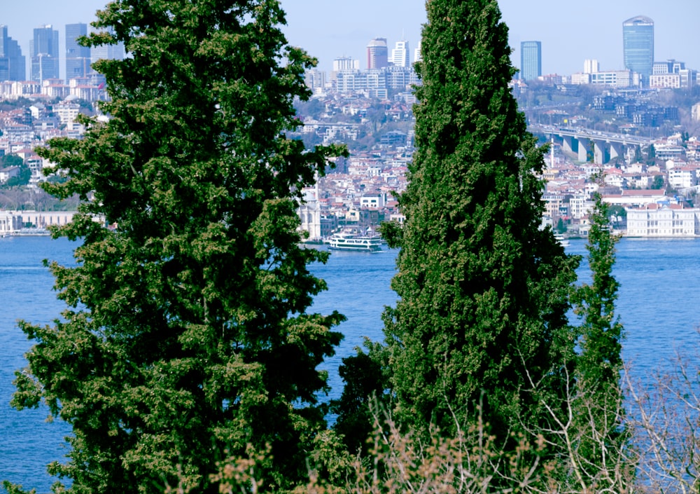 a large body of water with a city in the background