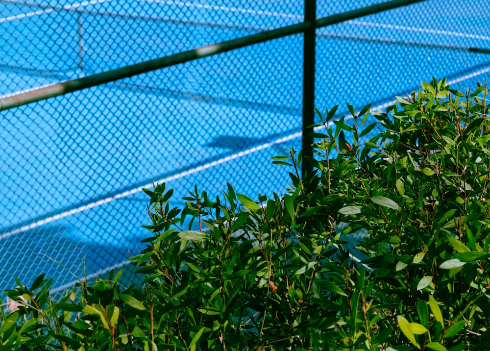 a tennis court with a blue tennis court in the background
