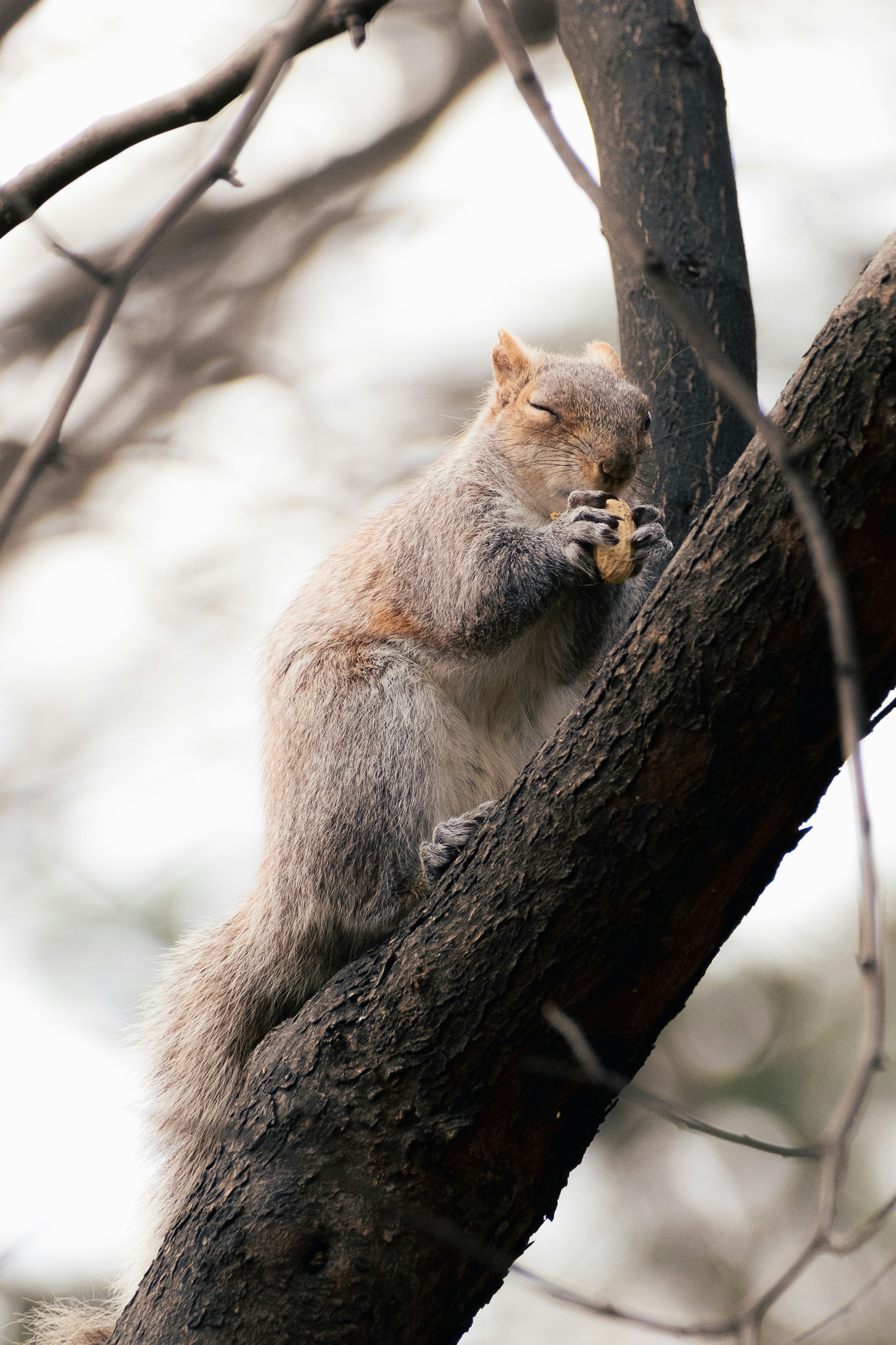 Photo by kevinmueller