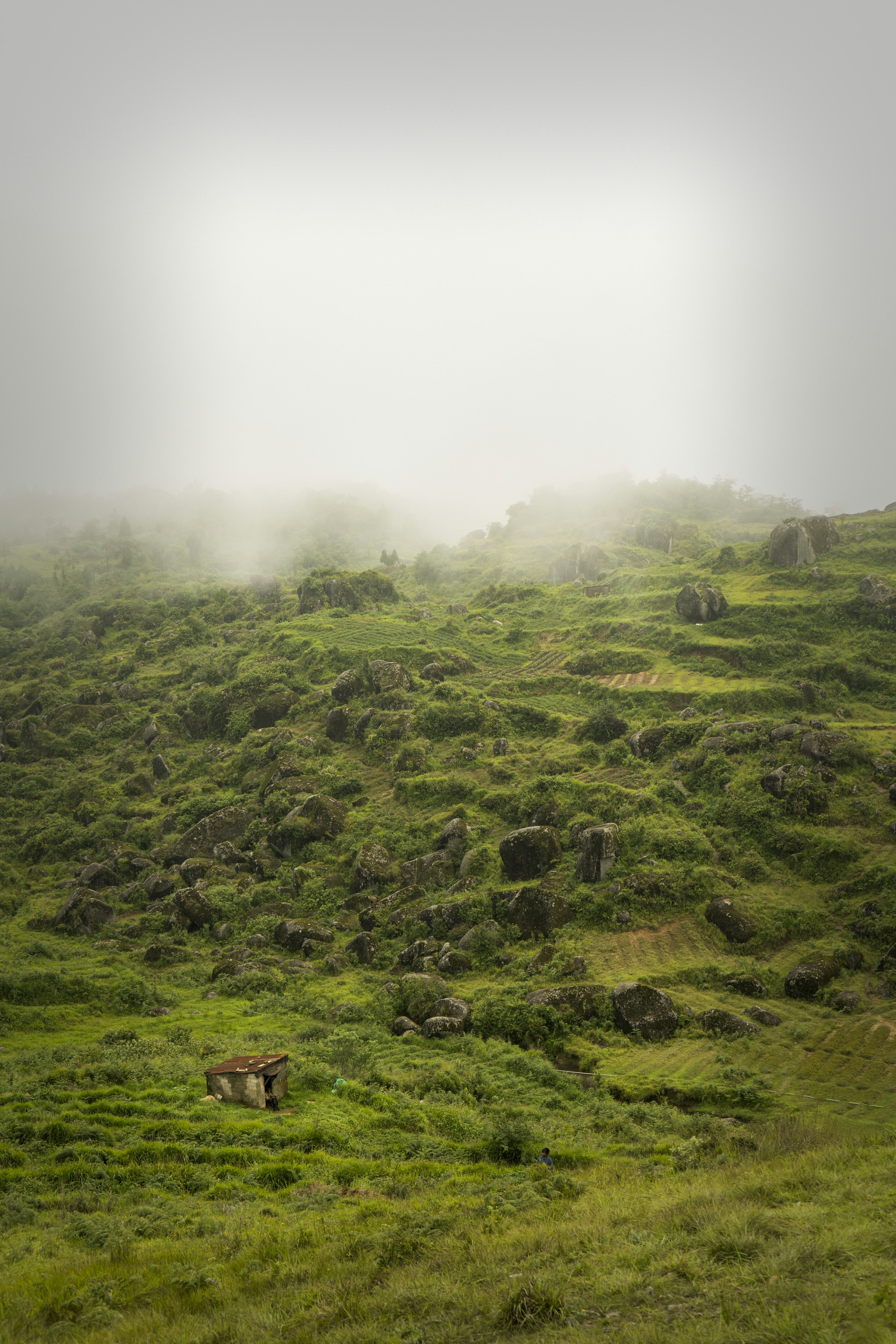 a grassy hill covered in lots of green grass