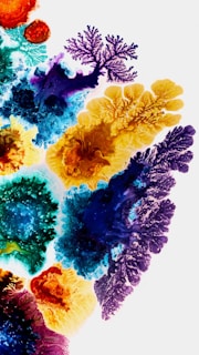 a group of different colored plants on a white surface