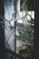 a broken glass door with a window in the background