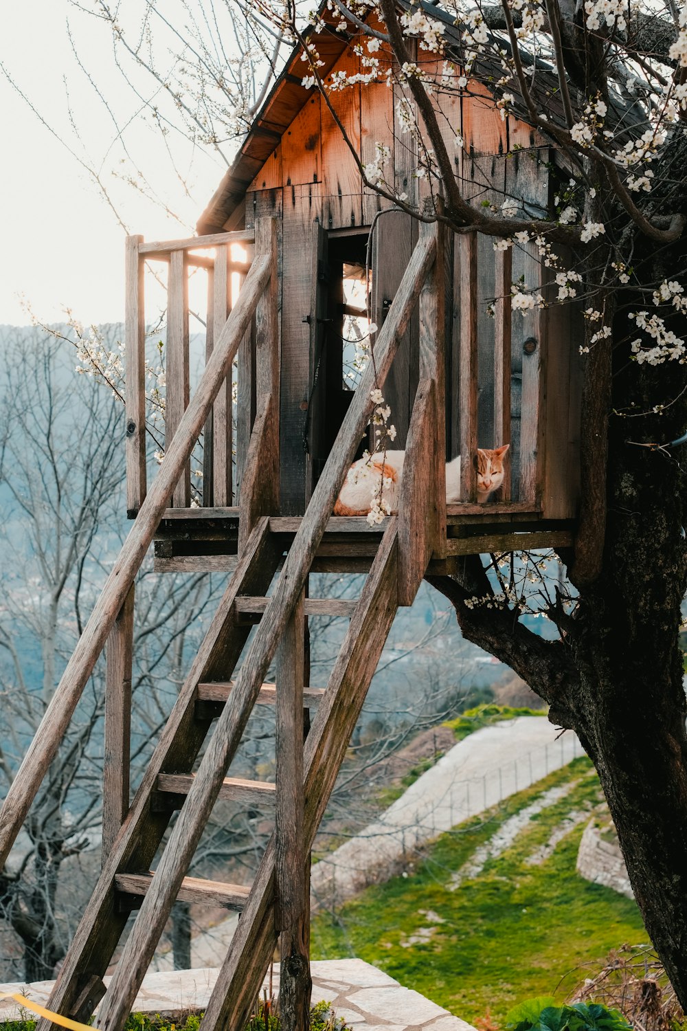 a wooden tree house with a ladder leading up to it
