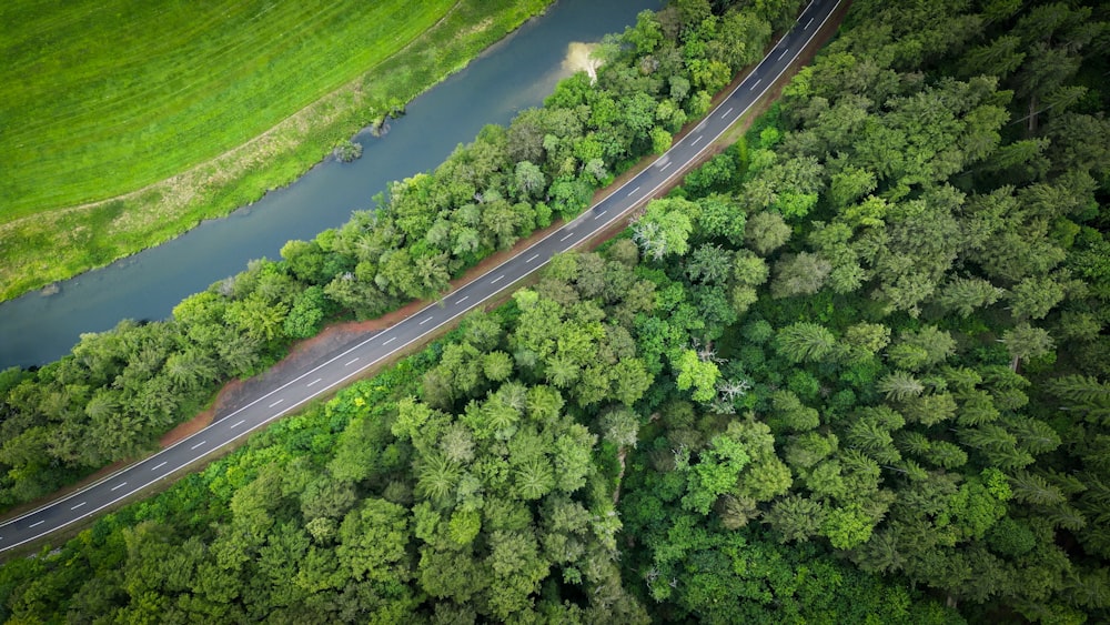 Una veduta aerea di una strada in mezzo a una foresta