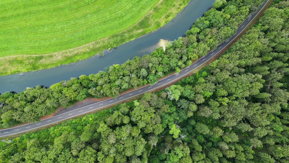 an aerial view of a road in the middle of a forest