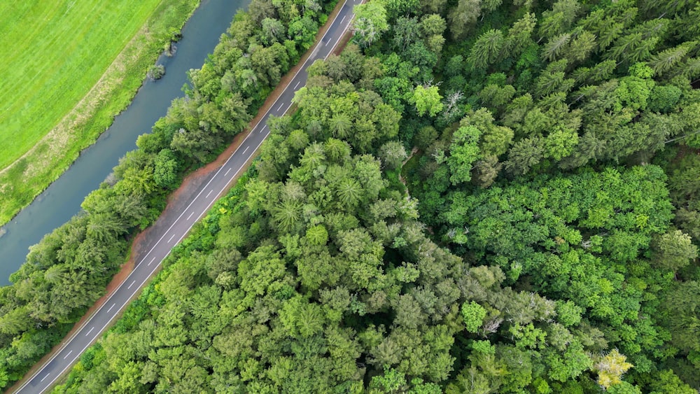 an aerial view of a road in the middle of a forest