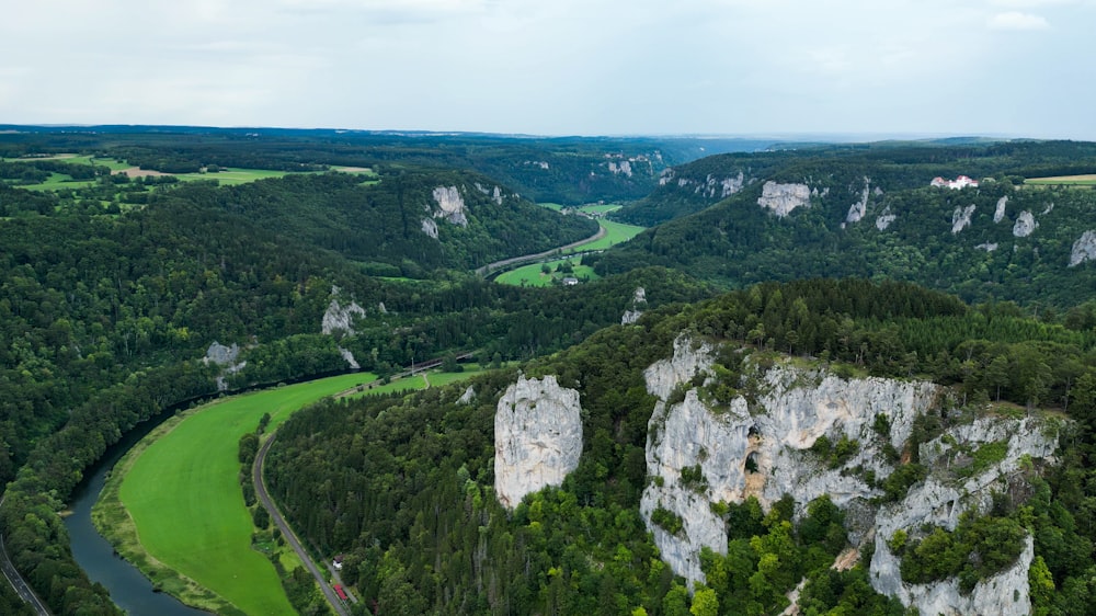 ein Fluss, der durch ein üppig grünes Tal fließt