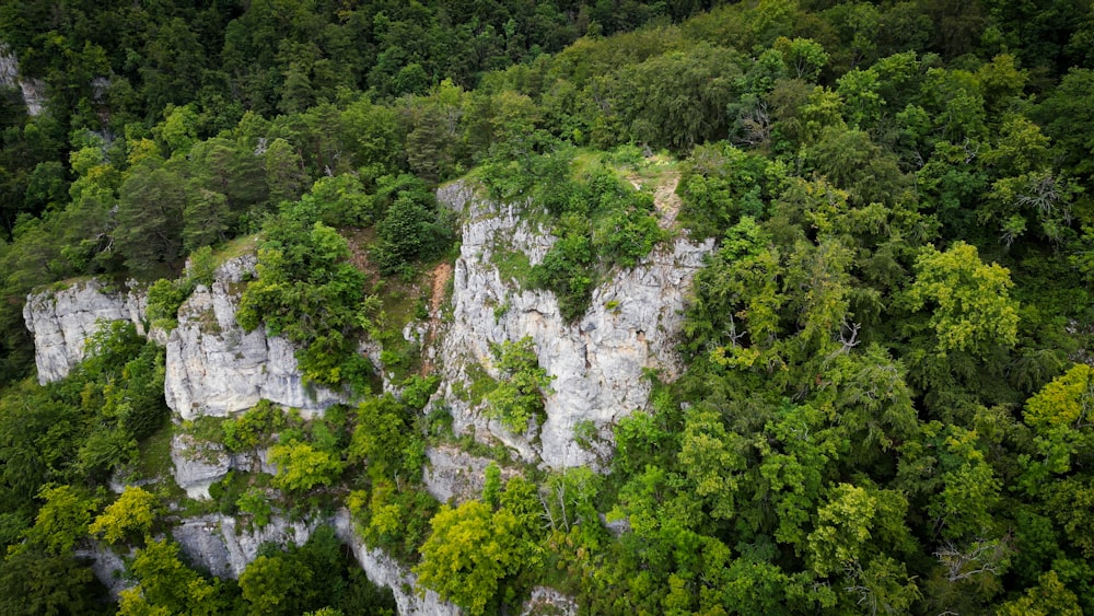 Eine Luftaufnahme einer felsigen Klippe, die von Bäumen umgeben ist