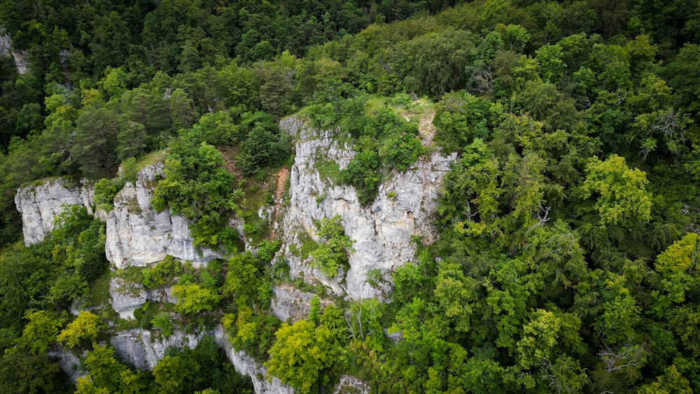 an aerial view of a rocky cliff surrounded by trees