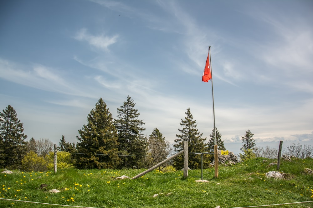 a red flag on top of a green hill