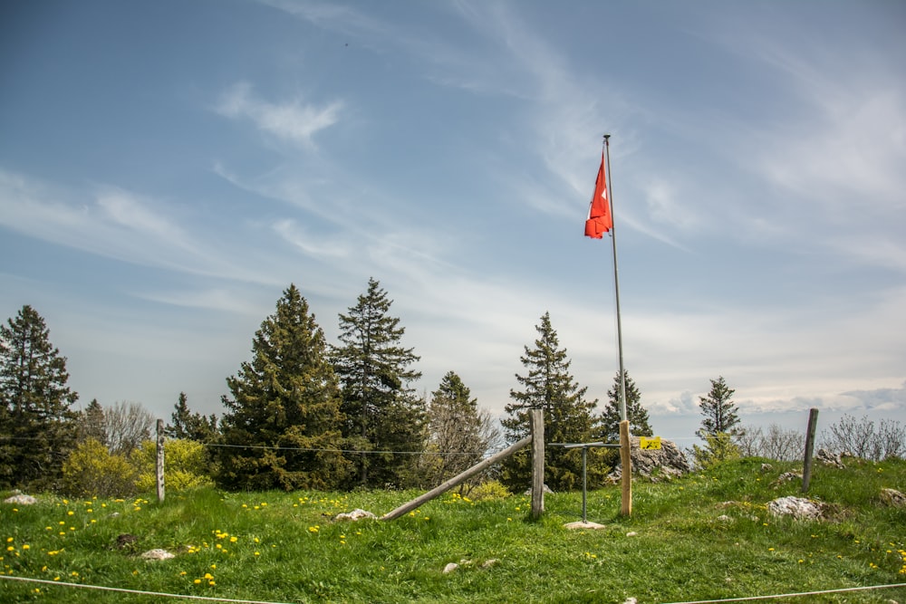 Un drapeau rouge au sommet d’une colline verte