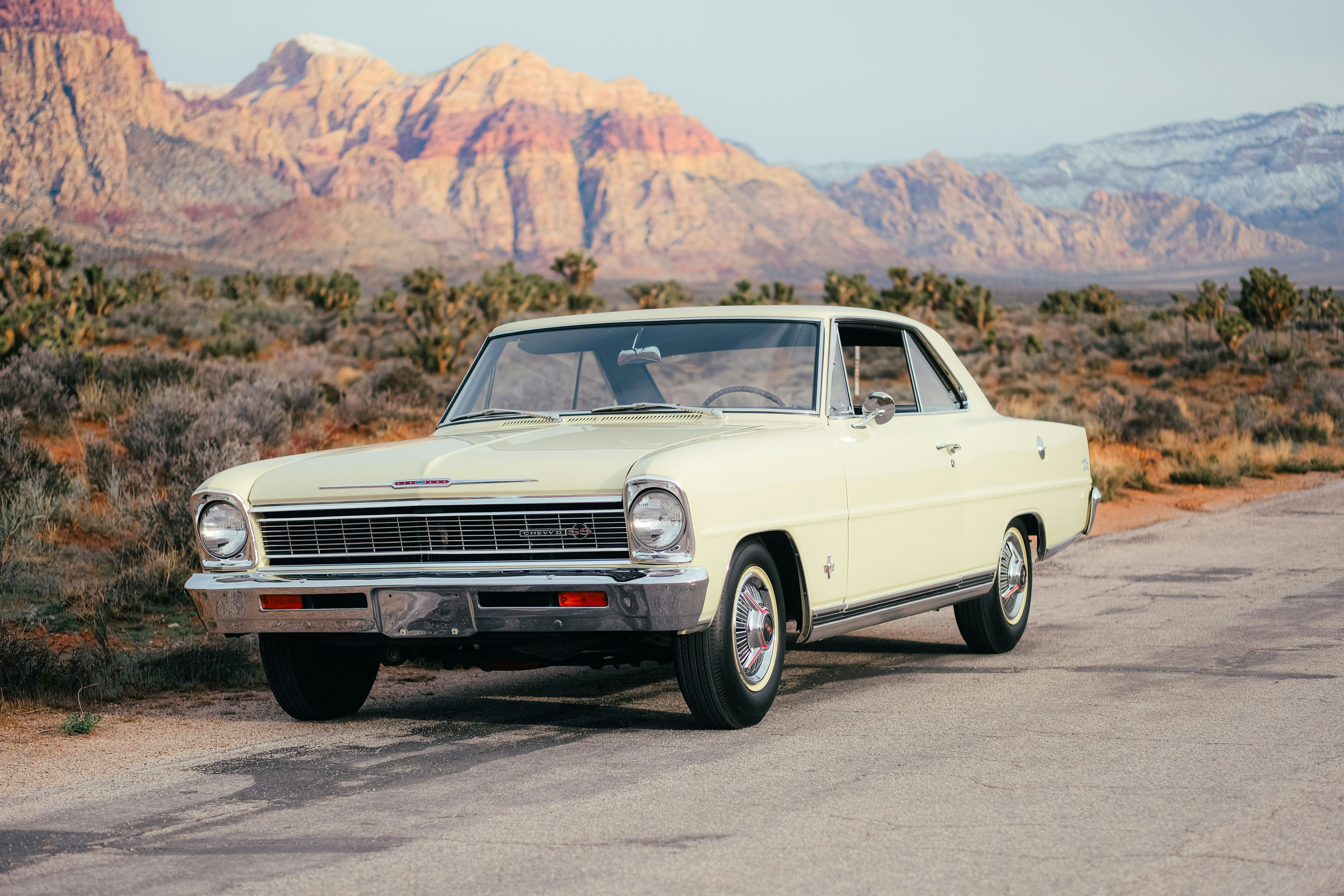 Photo by wesleyphotography