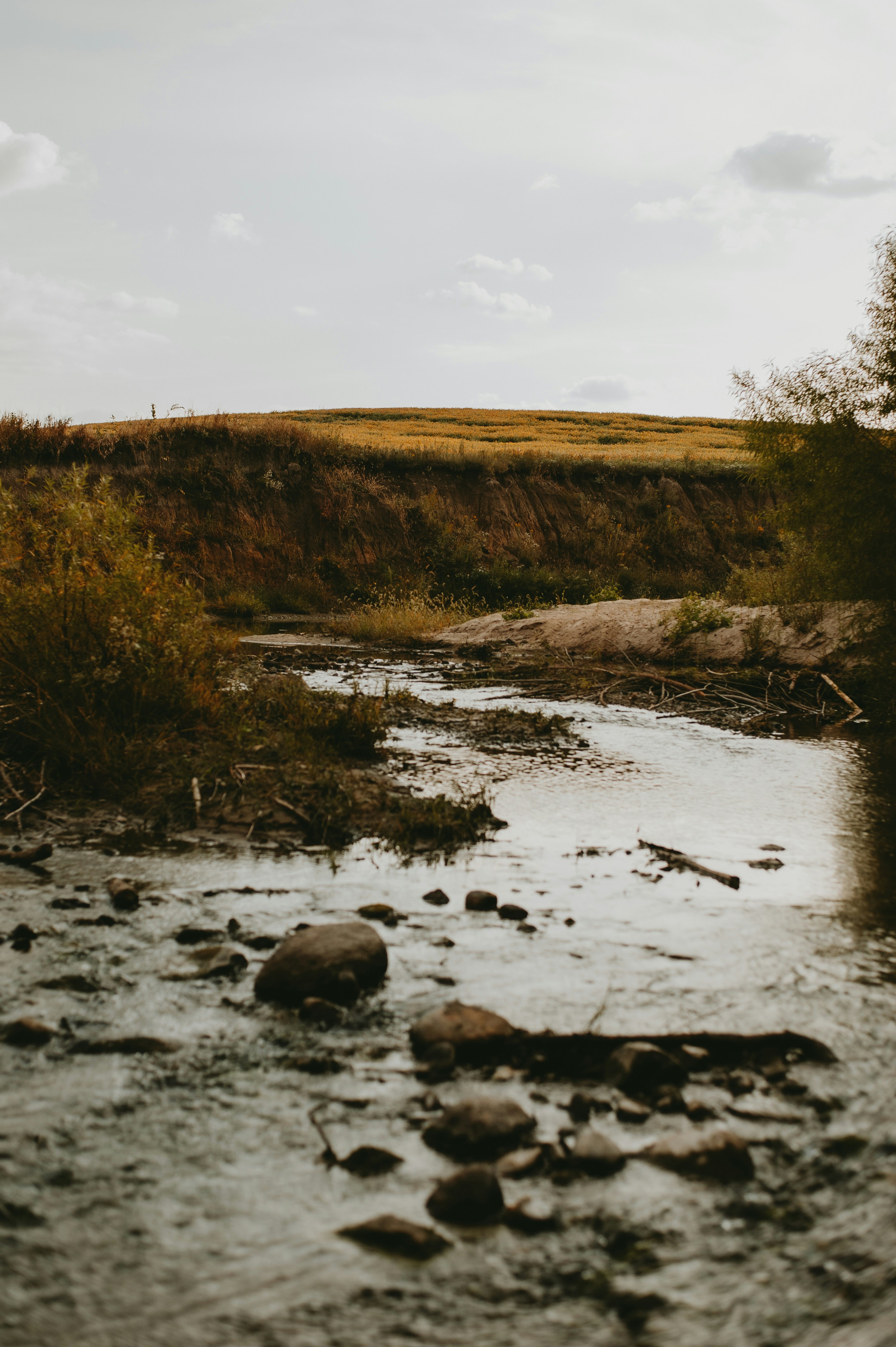 Photo by prairiepilgrim