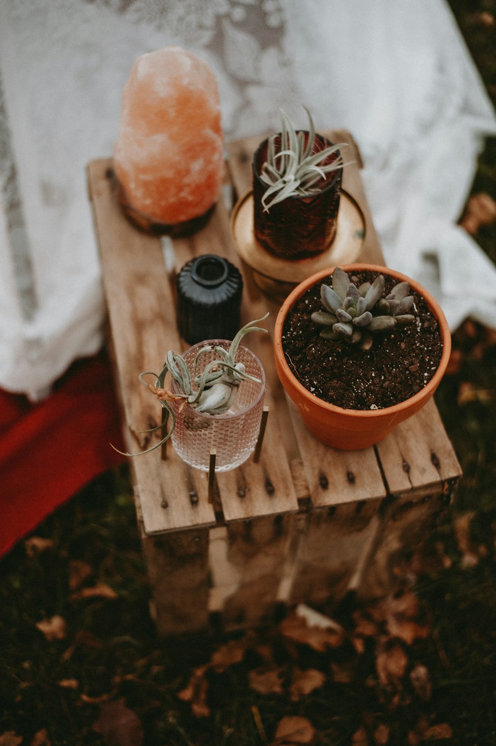 a wooden table topped with a potted plant next to a glass