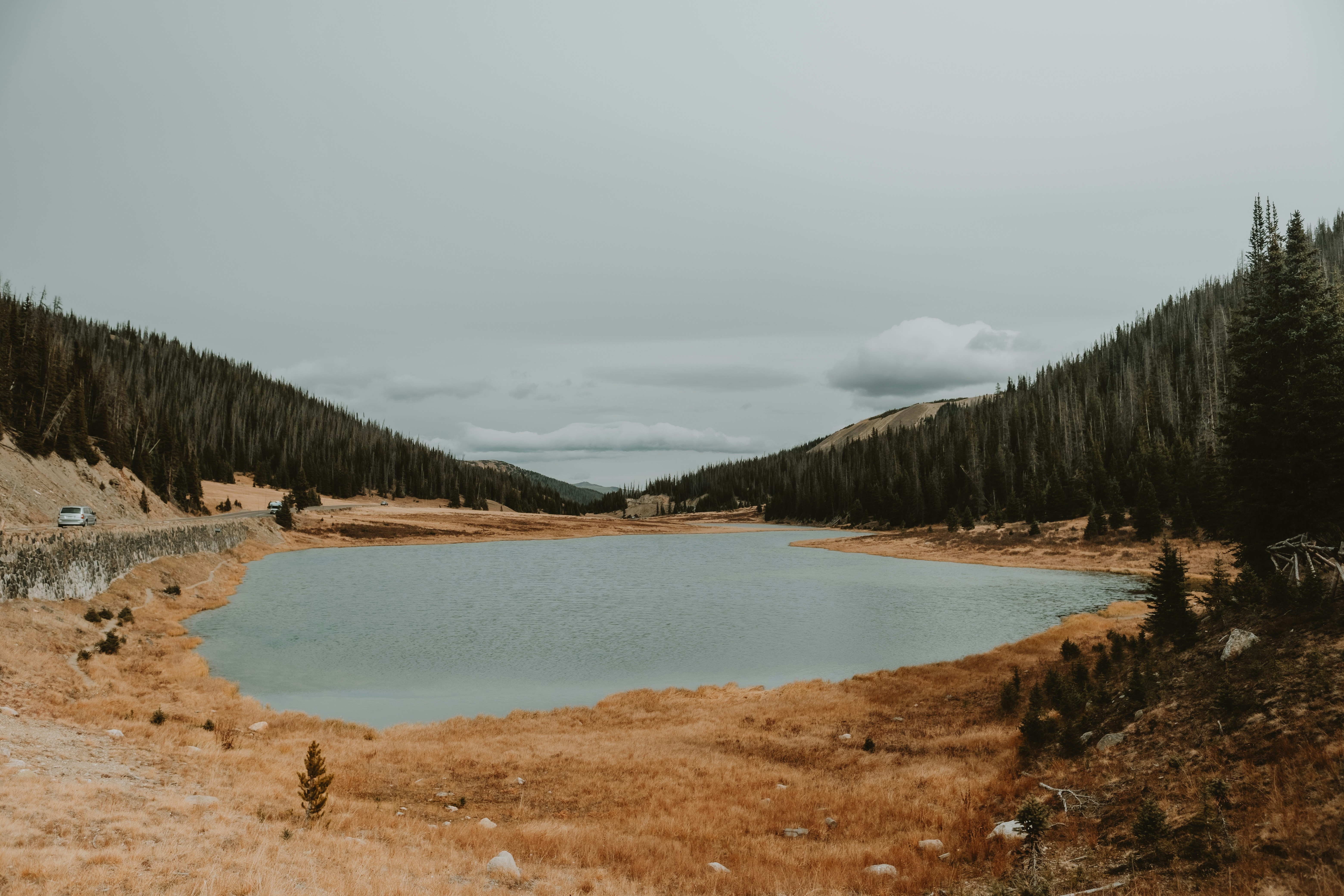 un lac au milieu d’un champ d’herbes sèches