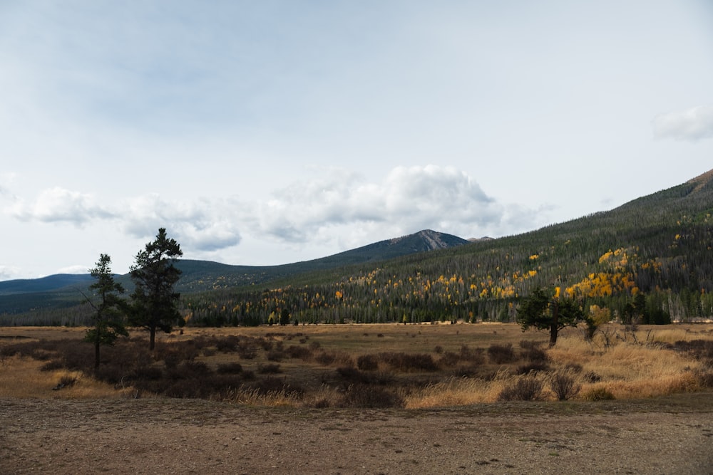 a field with trees and mountains in the background