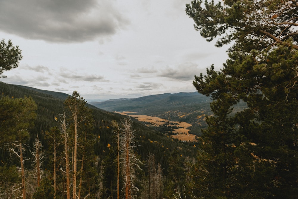 a view of a valley from a high point of view