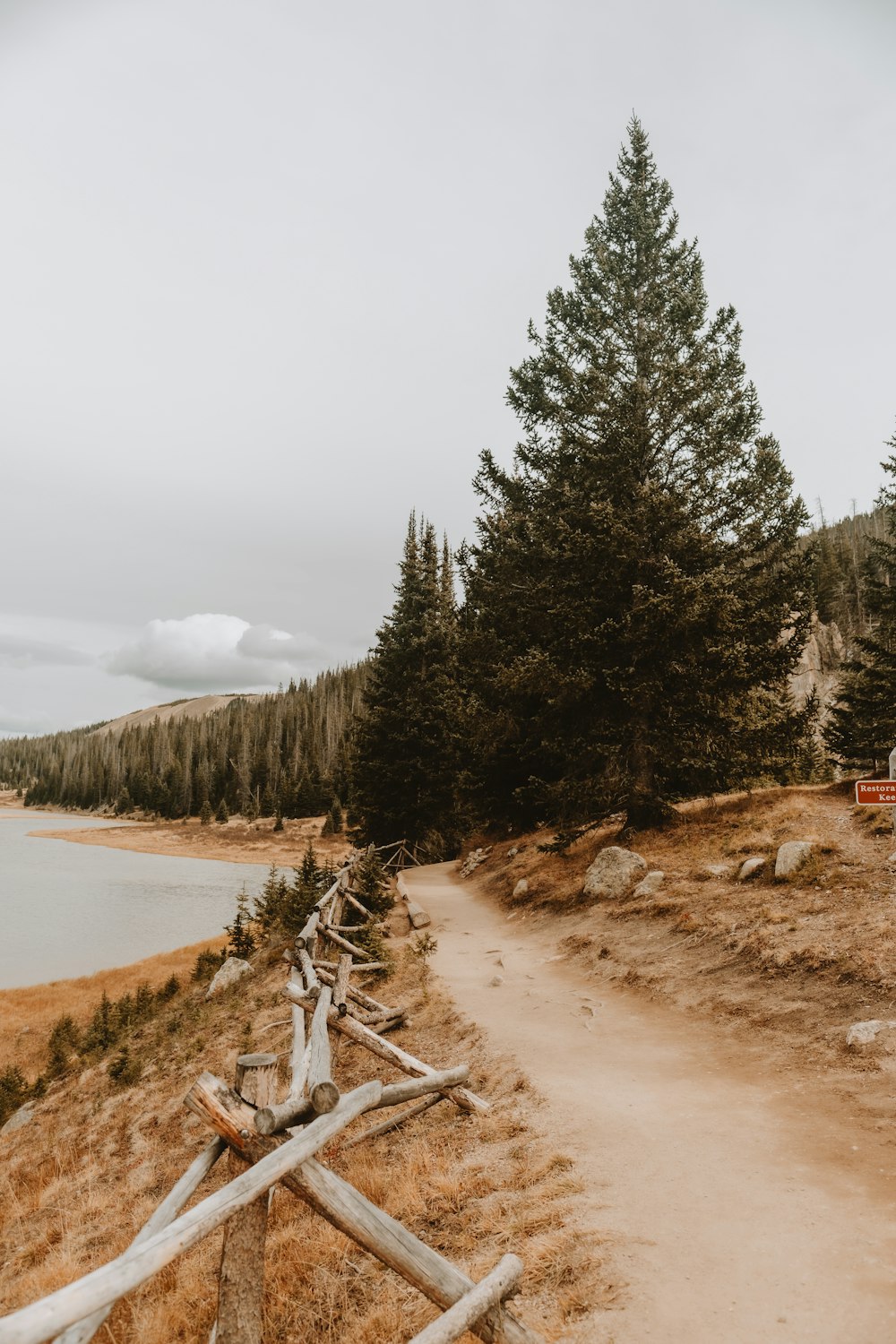 a dirt path leading to a lake surrounded by trees