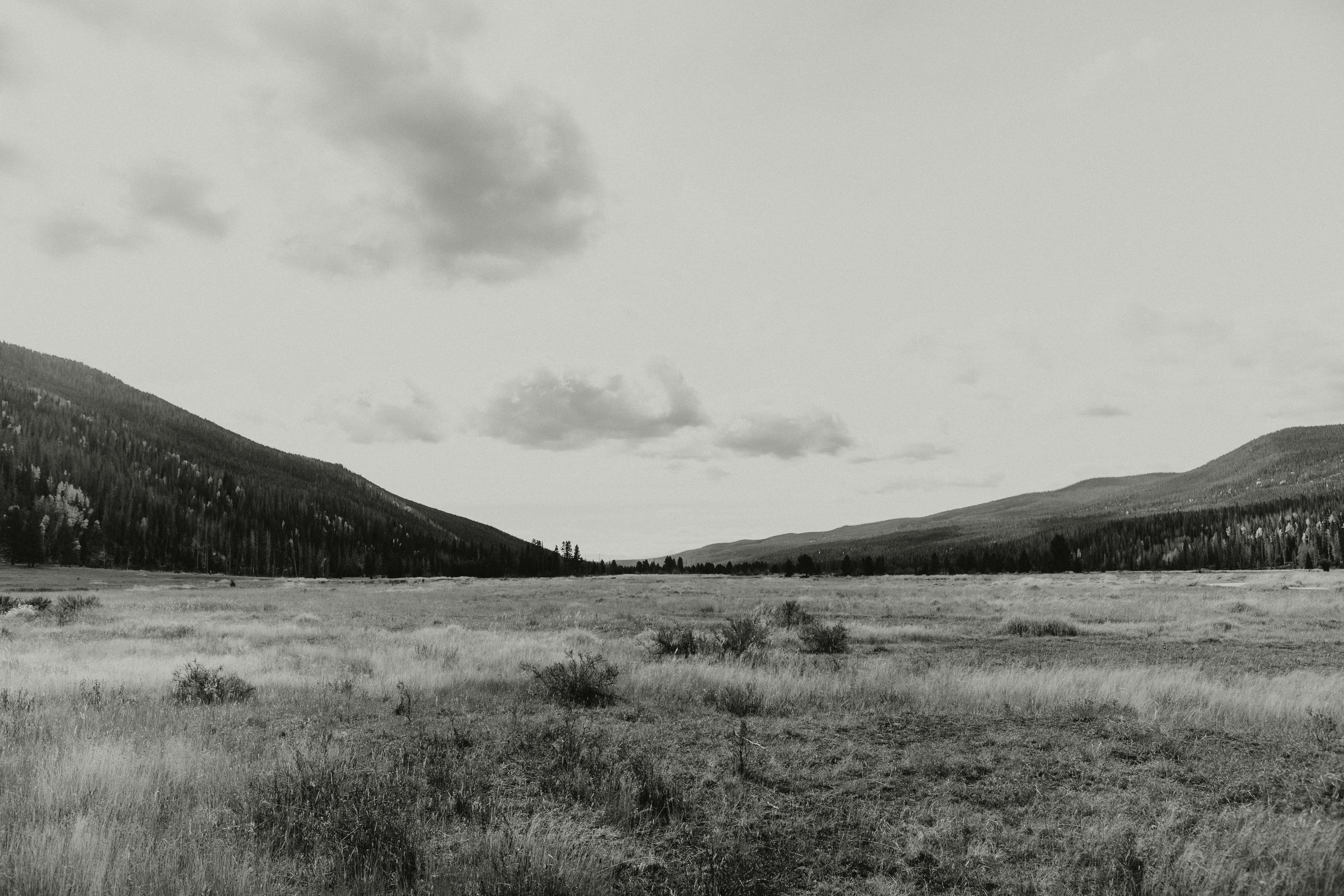 une photo en noir et blanc d’un champ avec des montagnes en arrière-plan