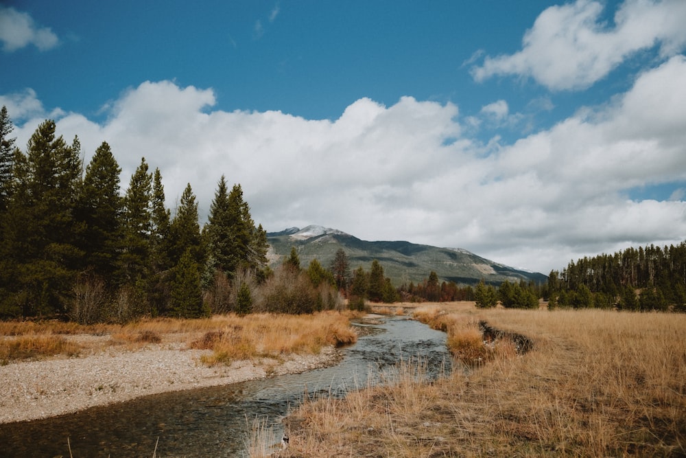 a stream running through a dry grass field