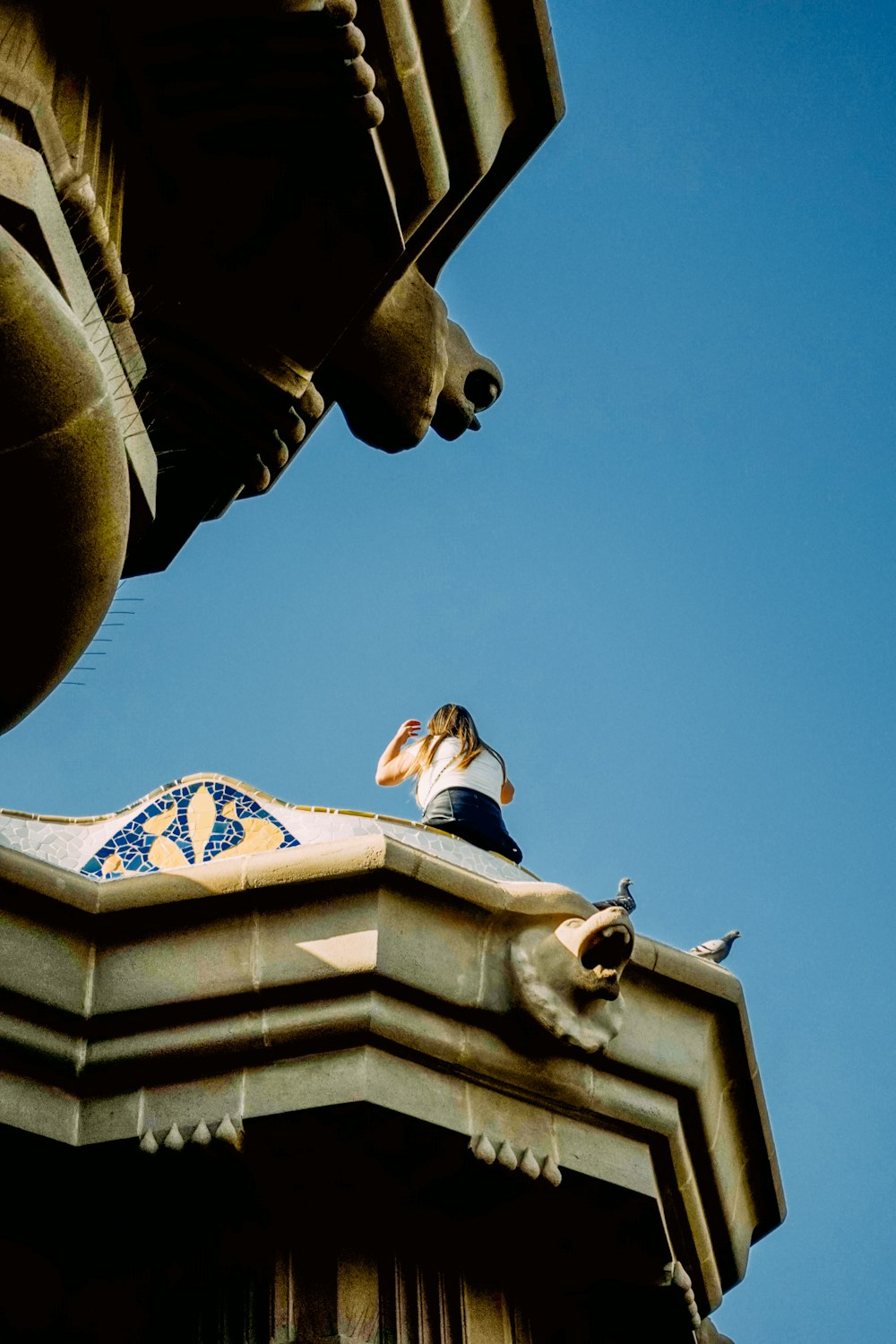 a bird is perched on top of a building