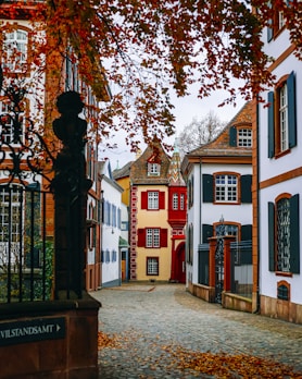 a cobblestone street in a european village