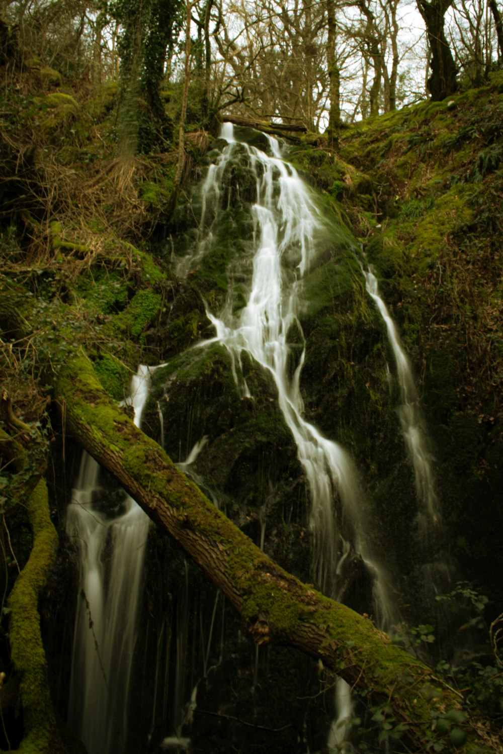 a waterfall in a forest with moss growing on the rocks