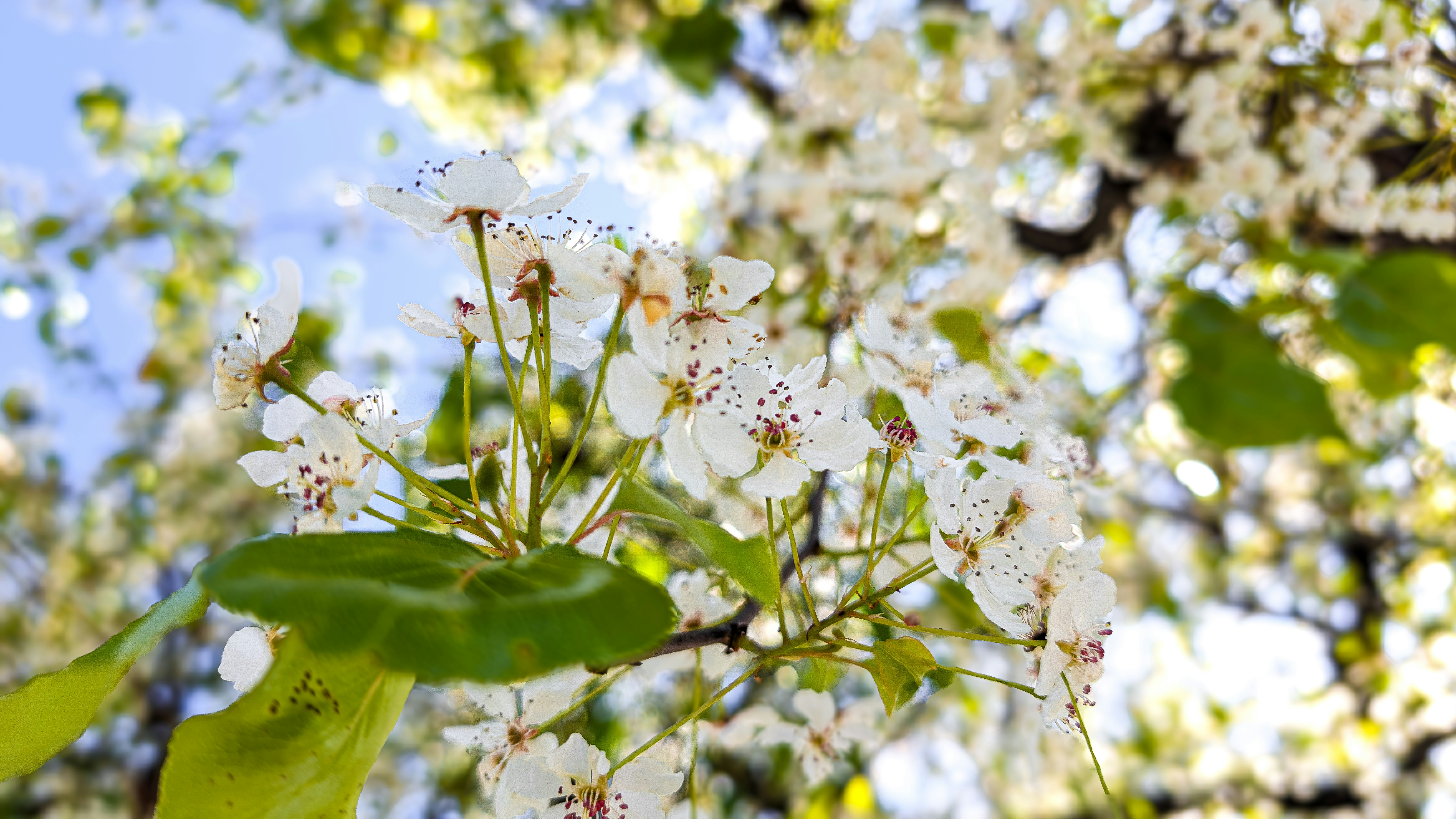 Photo by rigel_s_lens