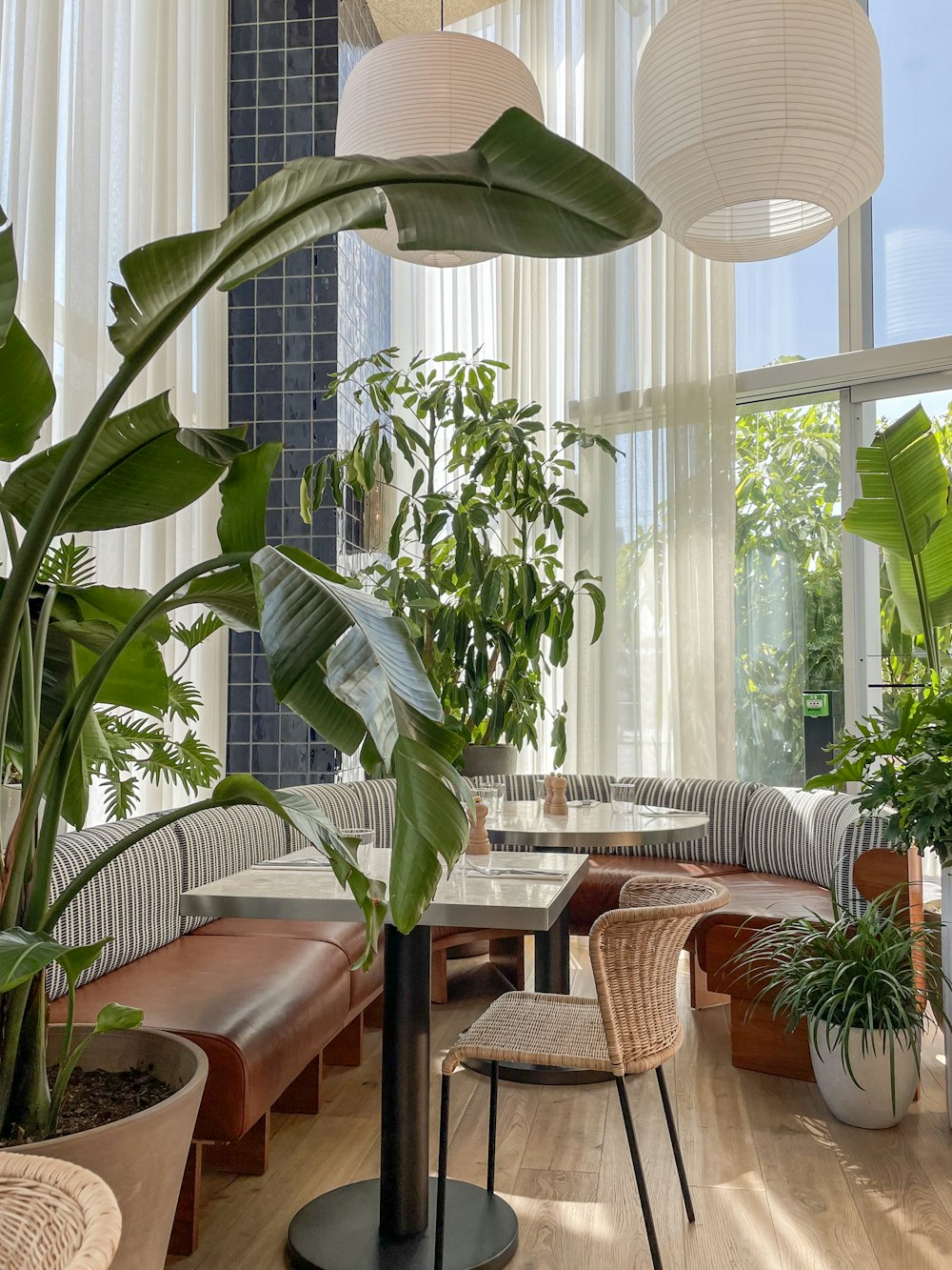 a room filled with lots of plants and furniture