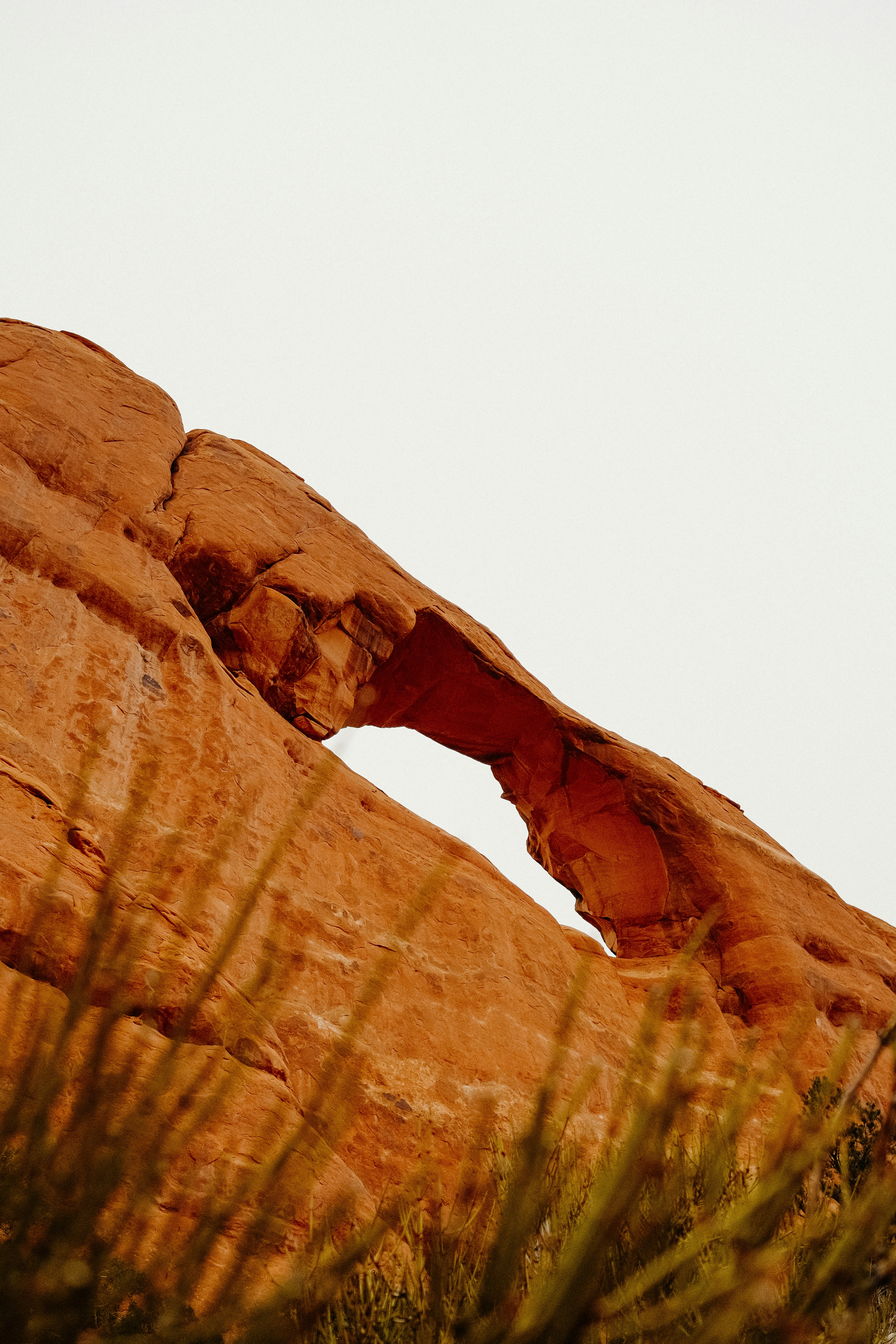 Photo by danieldaymedia