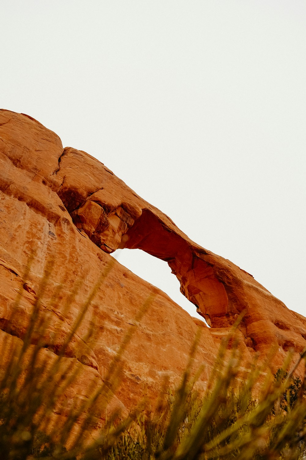 a large rock formation with a bird perched on top of it