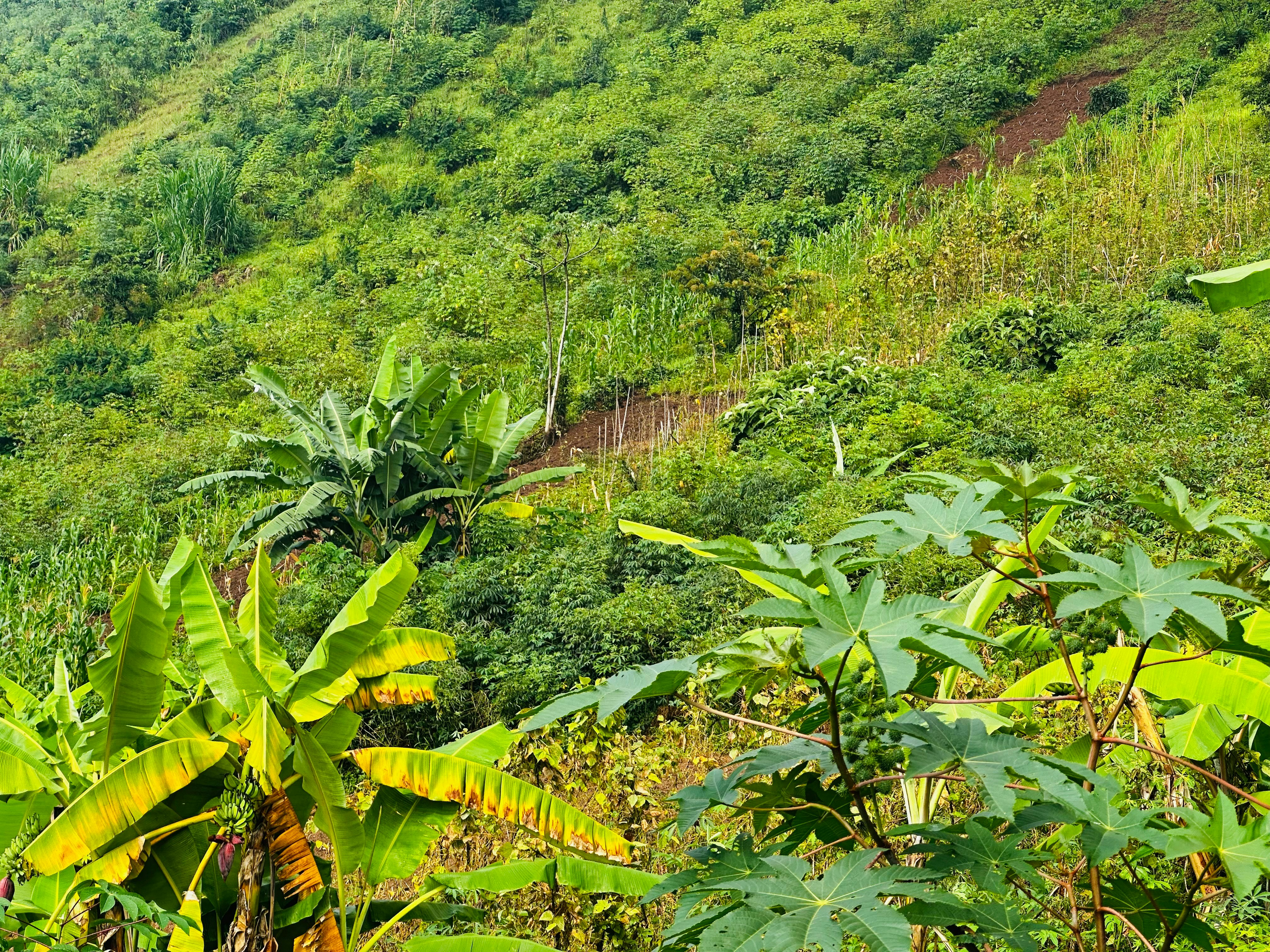 BJM destination photo