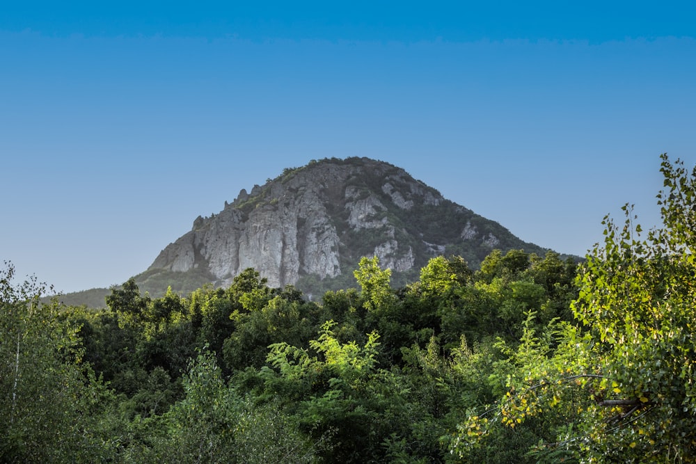 a view of a mountain through the trees