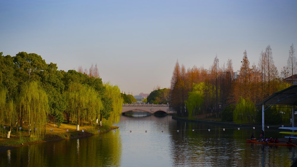 a body of water surrounded by trees and a bridge