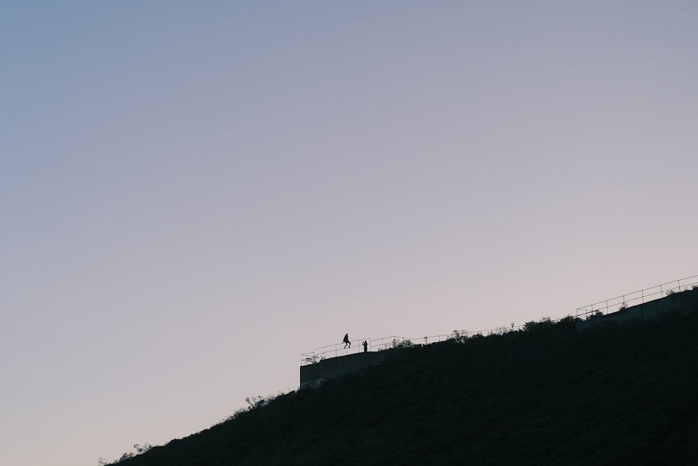 a person standing on top of a hill flying a kite