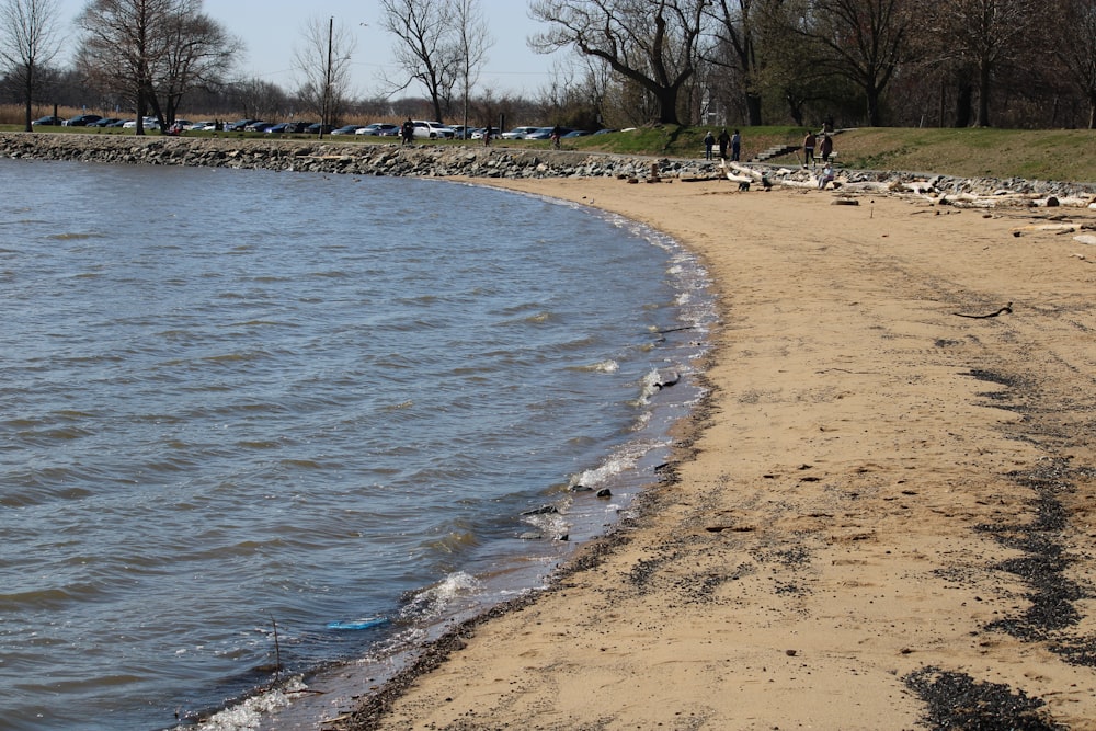 Un cuerpo de agua junto a una playa de arena