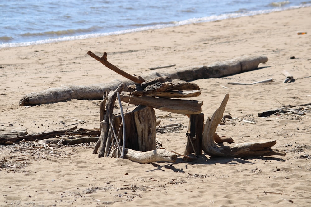 모래 해변 위에 앉아있는 유목 더미