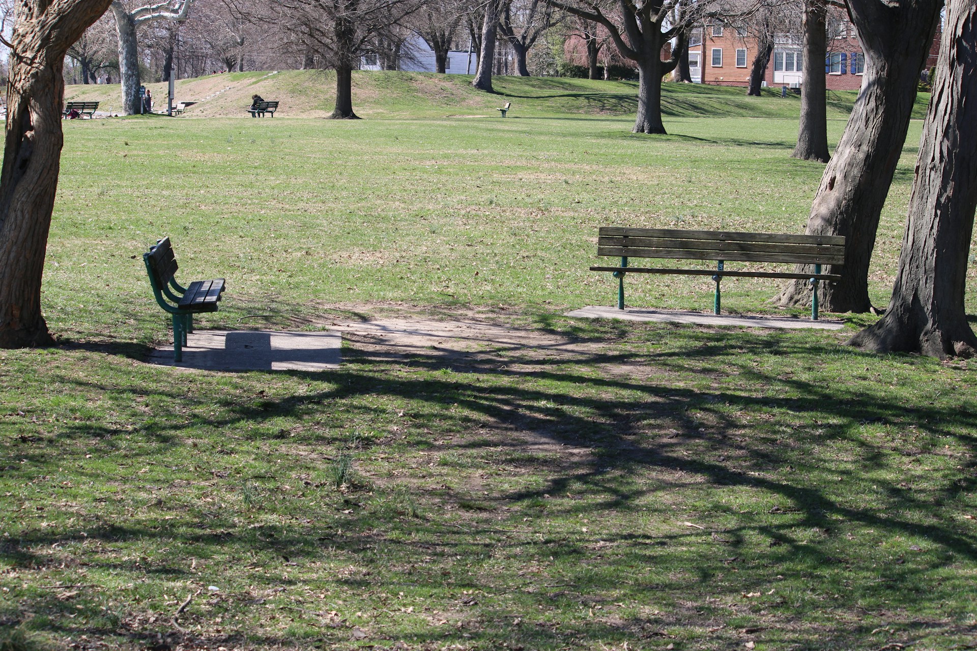 a park with a bench and a trash can