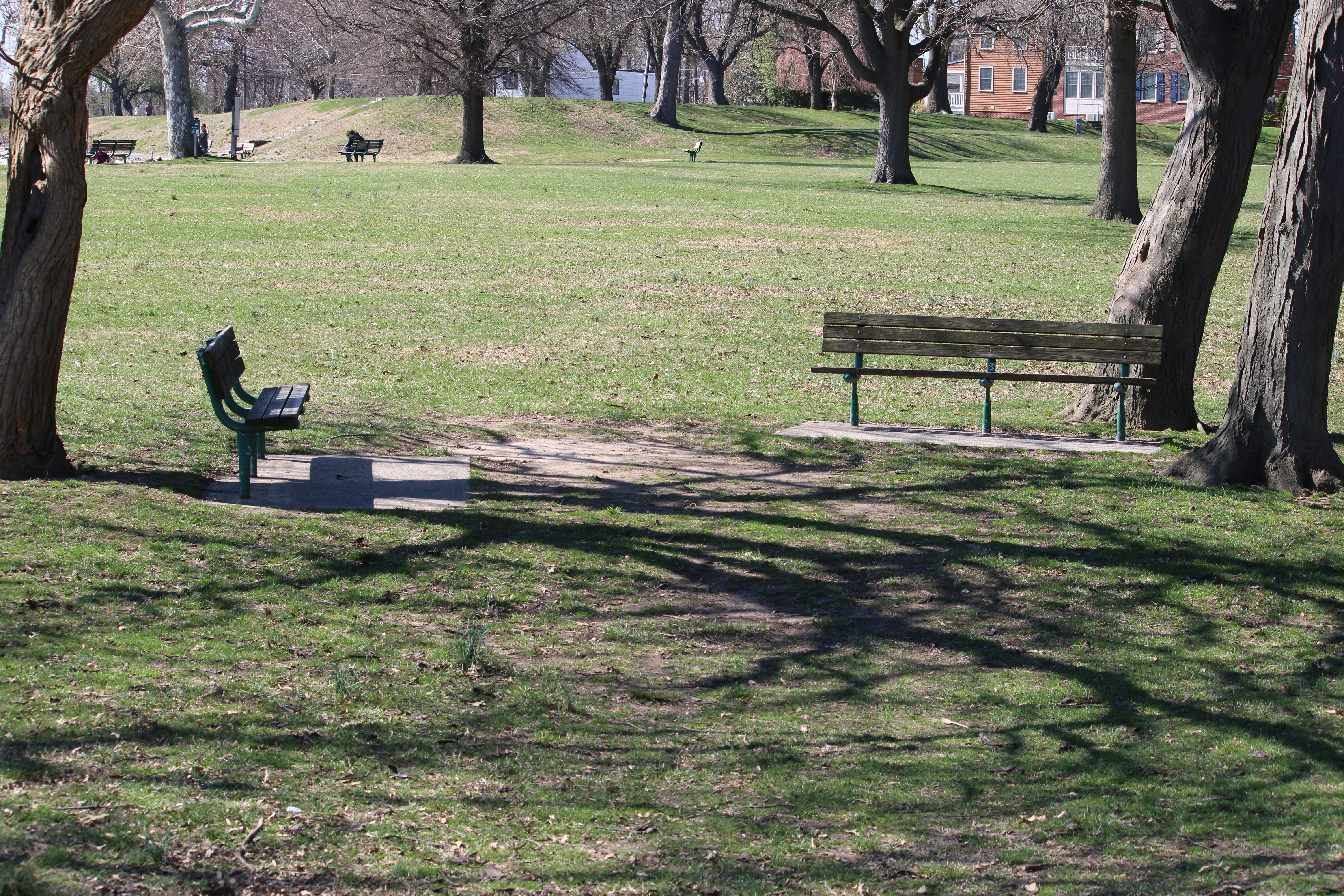 a park with a bench and a trash can