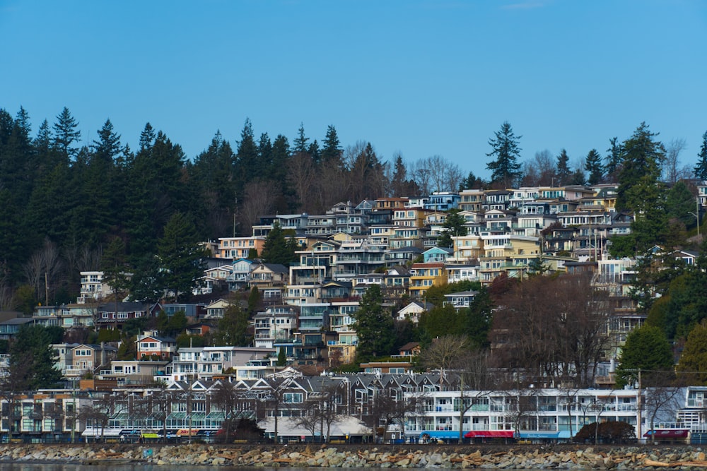 a hill of houses on a hillside with trees in the background