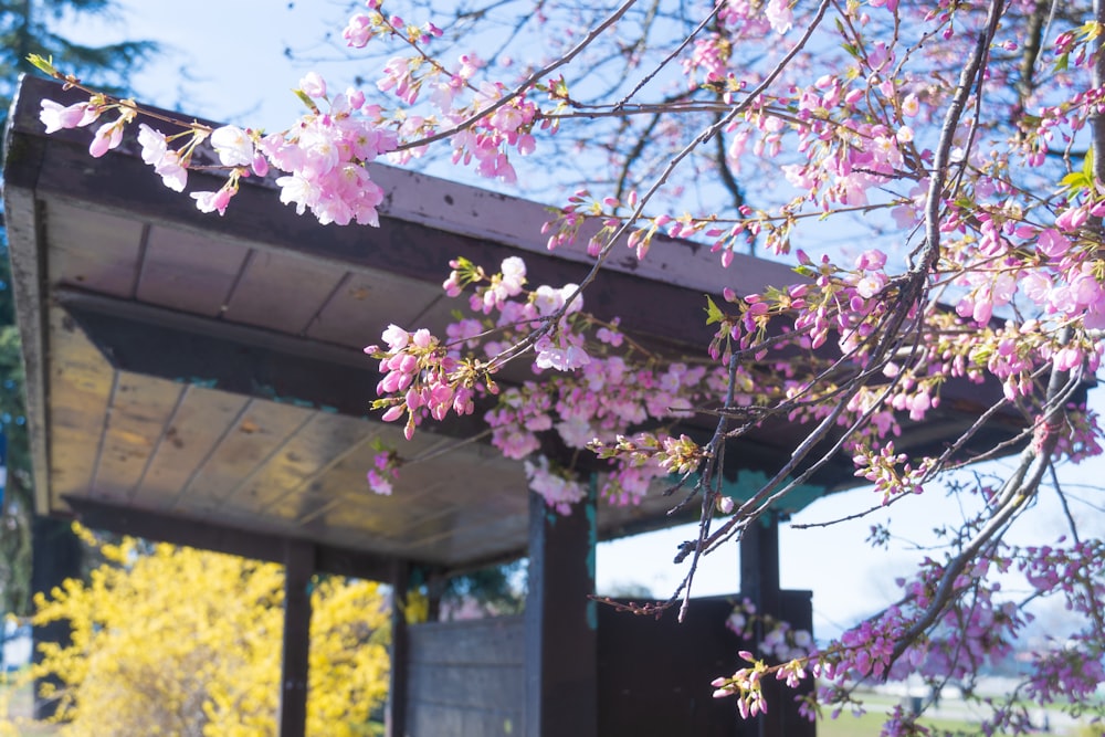 a gazebo with a bunch of pink flowers on it