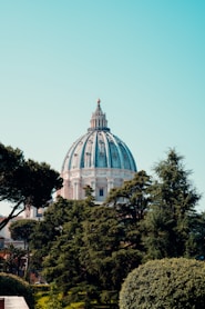 the dome of a building is surrounded by trees