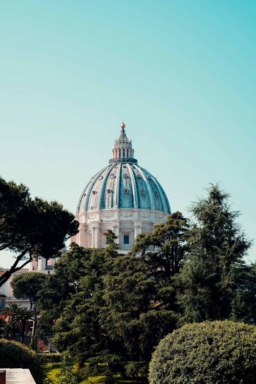 the dome of a building is surrounded by trees